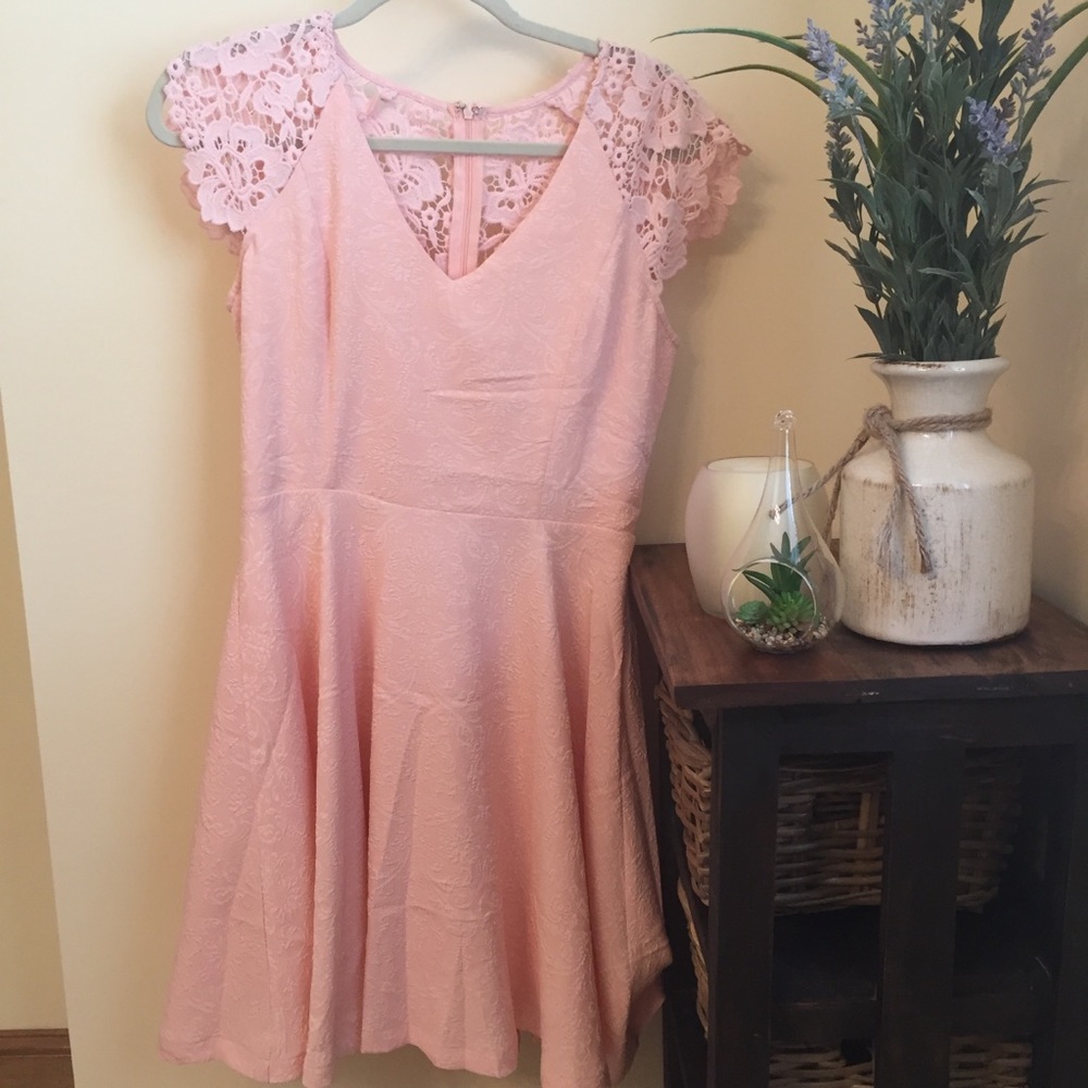 NWT 💕 Never Worn 💕 Francesca’s Pink A-line Dress